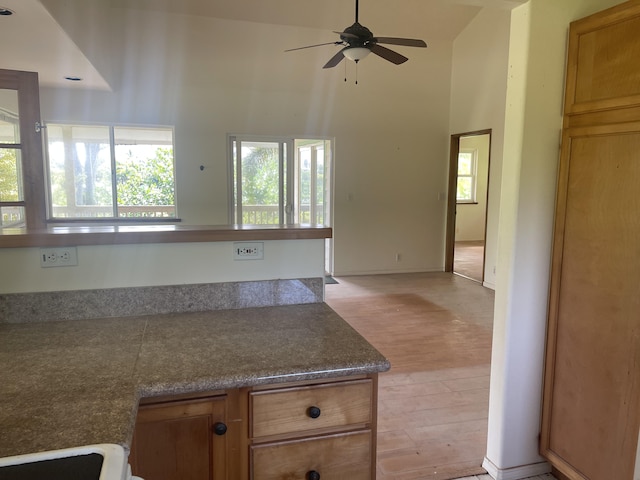 kitchen with ceiling fan, a healthy amount of sunlight, light hardwood / wood-style floors, and a high ceiling