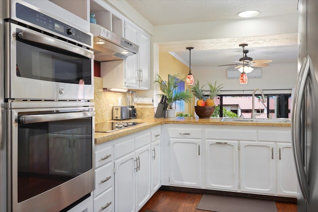 kitchen with hanging light fixtures, stainless steel appliances, ventilation hood, white cabinetry, and a sink