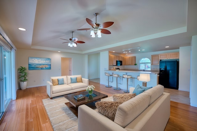 living room featuring a raised ceiling and light hardwood / wood-style flooring