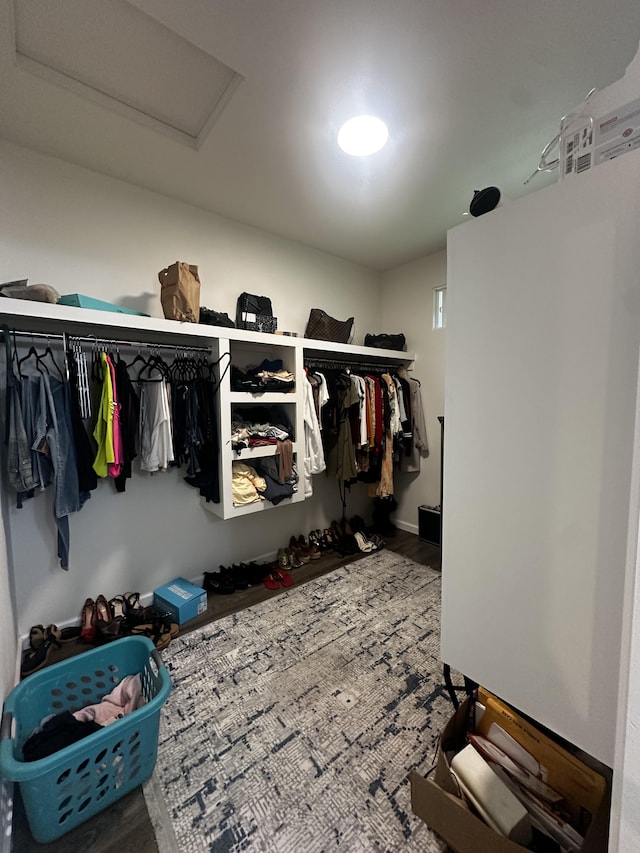 view of spacious closet