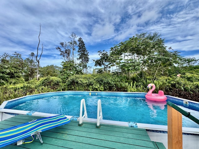 view of swimming pool