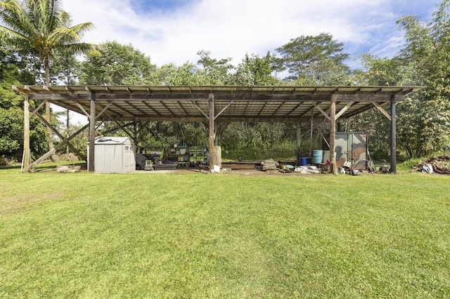 view of yard featuring a pergola and a storage unit