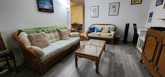 living room with wood finished floors