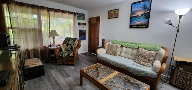living room with wood finished floors