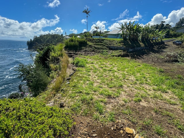 Listing photo 2 for 32-2615 Pali Ku Pl, Ninole HI 96773