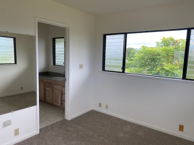 interior space featuring carpet