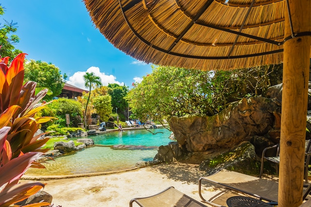 view of pool featuring a patio area