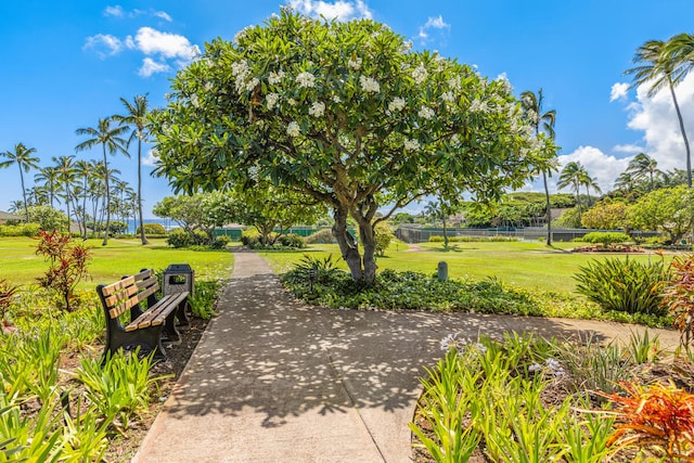 view of community featuring a yard