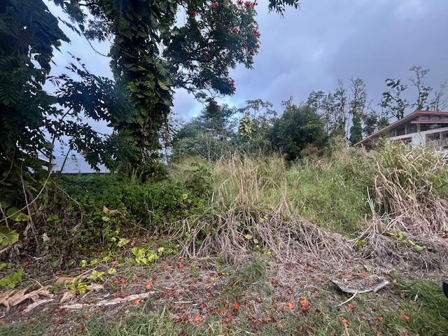 Listing photo 2 for Uilani Dr, Pahoa HI 96778