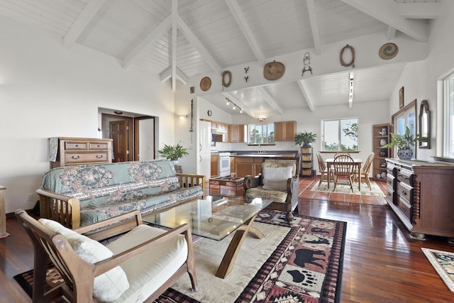 living room with sink, rail lighting, high vaulted ceiling, dark hardwood / wood-style floors, and beamed ceiling