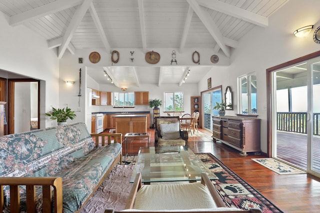 living room featuring rail lighting, dark hardwood / wood-style floors, sink, and beam ceiling