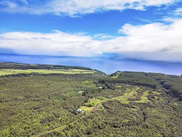 view of mountain feature featuring a water view