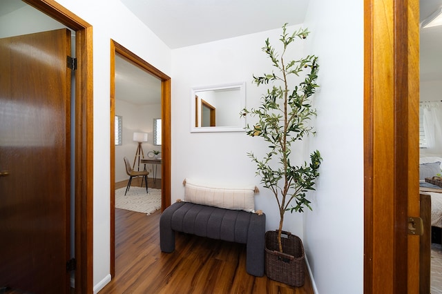 hallway with wood-type flooring