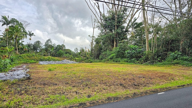 Listing photo 3 for 15-739 Kahakai Blvd, Pahoa HI 96778