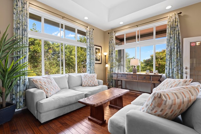 living room with a healthy amount of sunlight and dark wood-type flooring