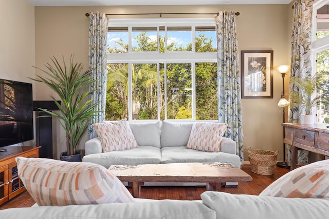 living room with a healthy amount of sunlight and wood-type flooring