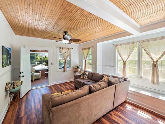 living room featuring a healthy amount of sunlight, ornamental molding, dark hardwood / wood-style floors, and wood ceiling