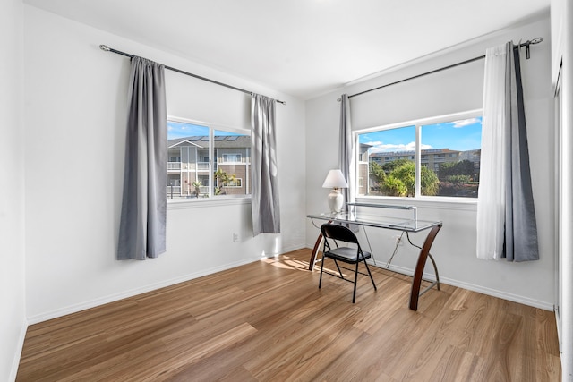 office featuring a healthy amount of sunlight and light hardwood / wood-style floors