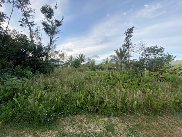 Listing photo 2 for 15-1969 Beach Rd, Keaau HI 96749