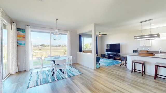 dining room featuring sink, light hardwood / wood-style flooring, and ceiling fan