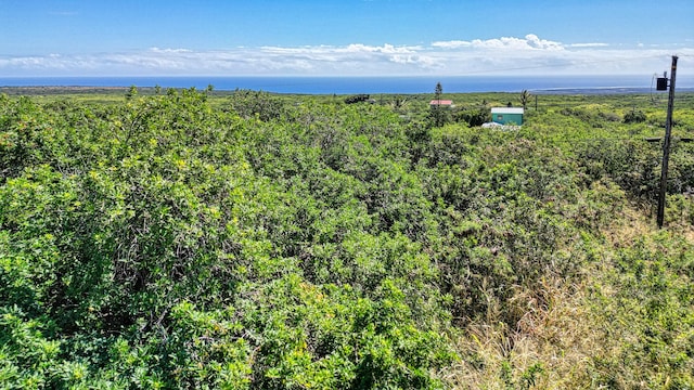 Pele St, Naalehu HI, 96772 land for sale