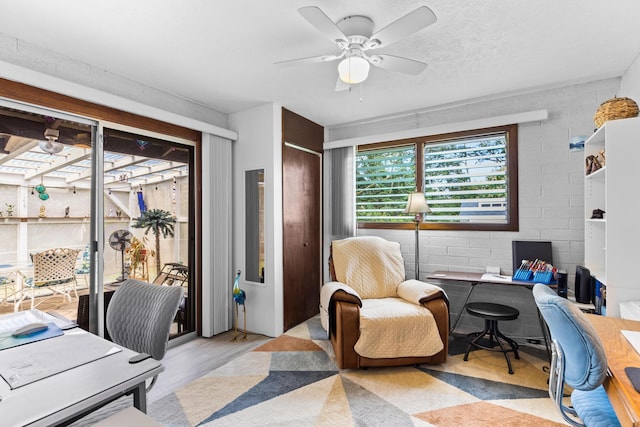 office featuring ceiling fan and light hardwood / wood-style floors