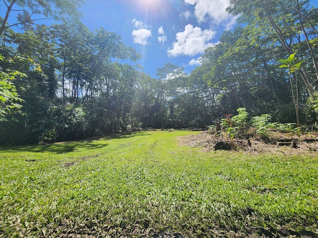 Hilo Rd, Pahoa HI, 96778 land for sale