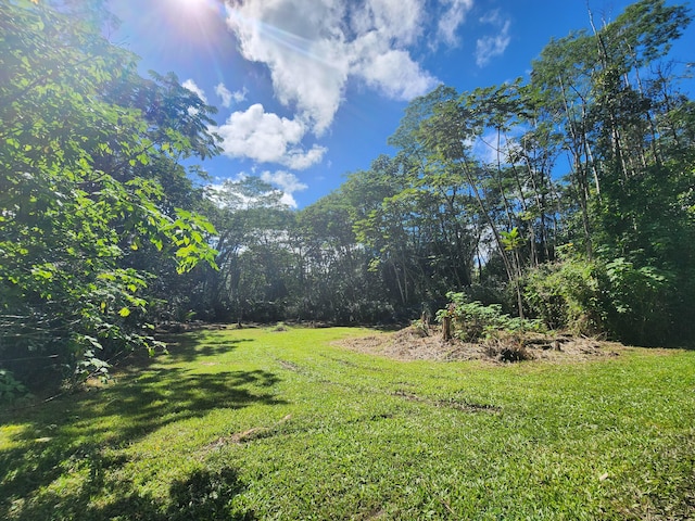 Listing photo 2 for Hilo Rd, Pahoa HI 96778