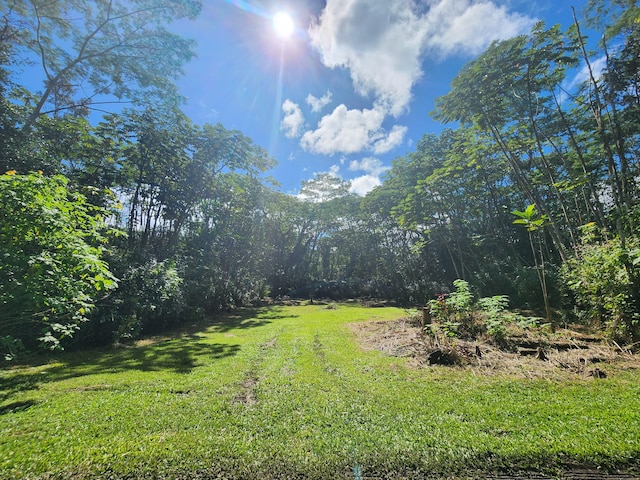 Listing photo 3 for Hilo Rd, Pahoa HI 96778