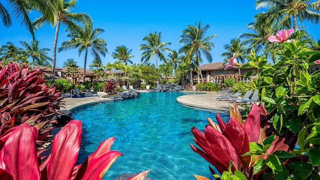 view of pool with a patio area