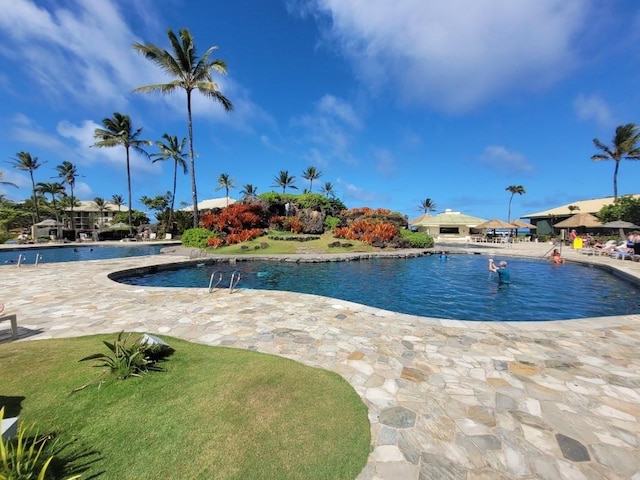 view of swimming pool featuring a lawn