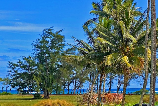 property view of water