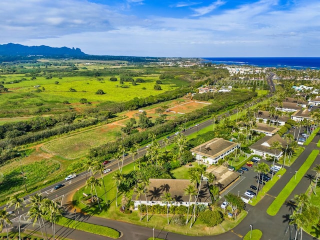 aerial view featuring a water and mountain view