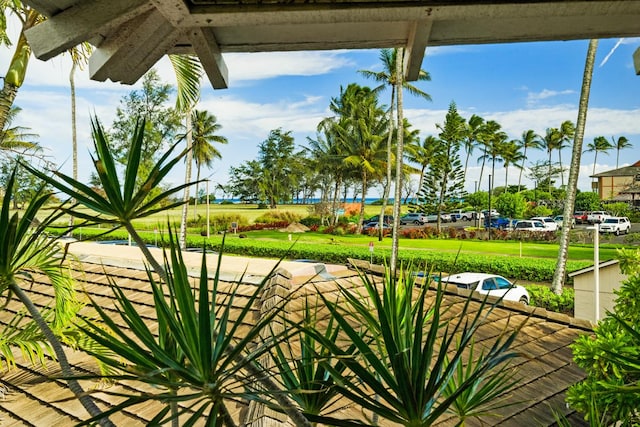 view of home's community featuring a yard