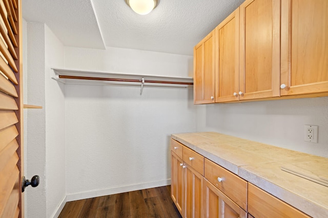 walk in closet featuring dark wood finished floors