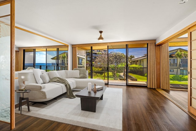 living room with dark wood-type flooring and expansive windows