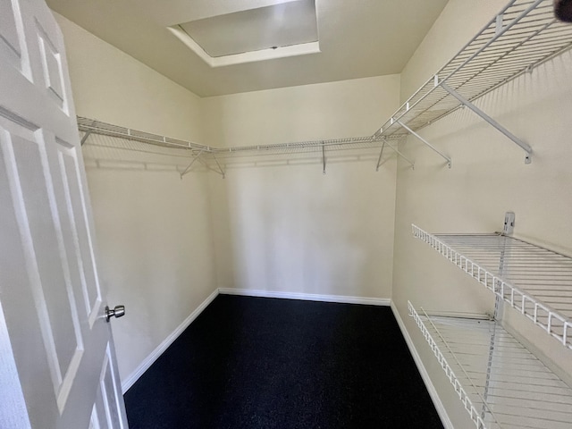 view of spacious closet