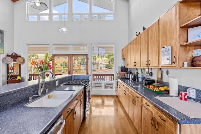 kitchen with sink, appliances with stainless steel finishes, a high ceiling, a wealth of natural light, and light hardwood / wood-style floors