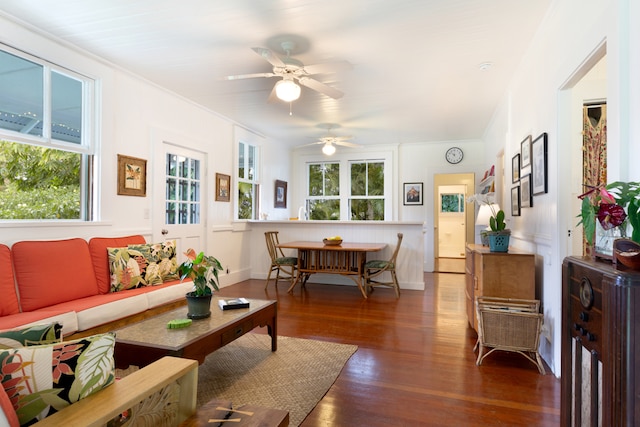 living room featuring crown molding, a healthy amount of sunlight, and dark wood-type flooring