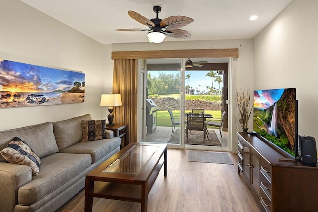 living room featuring ceiling fan and light wood-type flooring