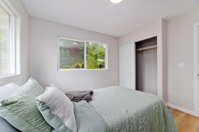 bedroom featuring a closet, multiple windows, and light wood-type flooring