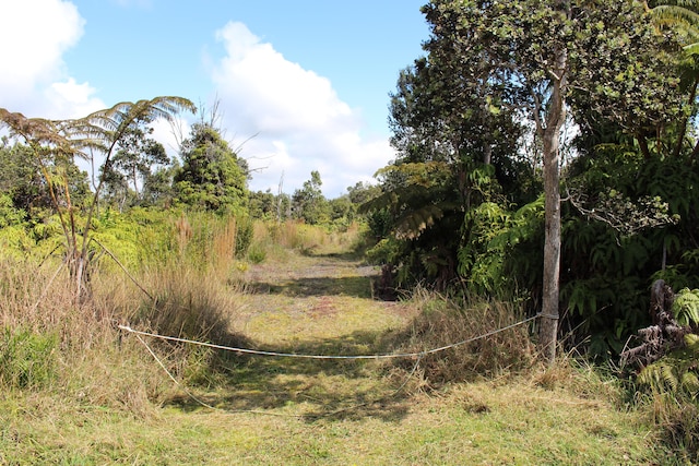 Nahelenani St, Volcano HI, 96785 land for sale