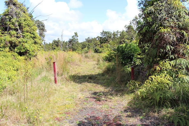 Listing photo 2 for Nahelenani St, Volcano HI 96785