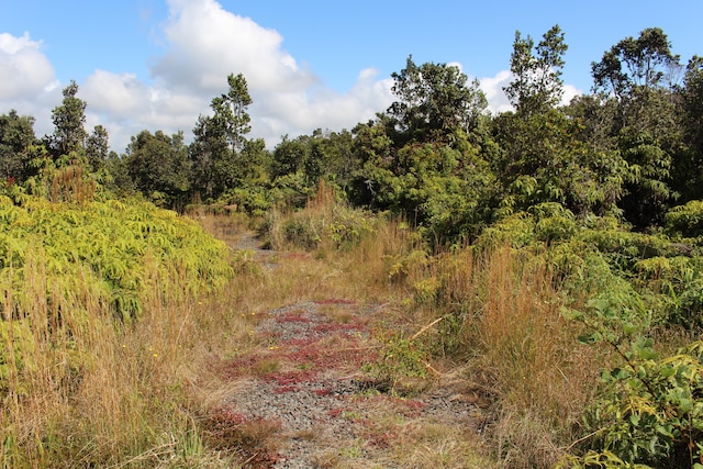 Listing photo 3 for Nahelenani St, Volcano HI 96785