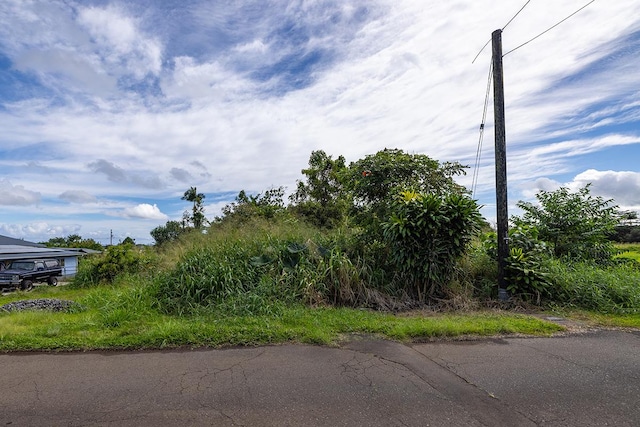 175 Laula Rd, Hilo HI, 96720 land for sale