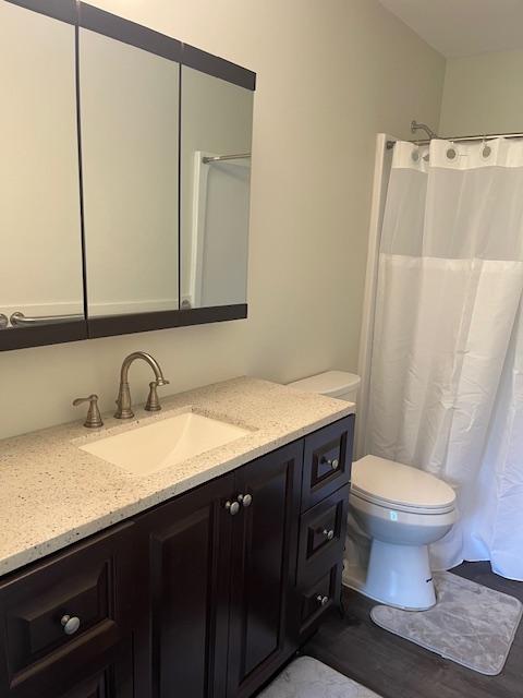 bathroom featuring vanity, wood-type flooring, and toilet