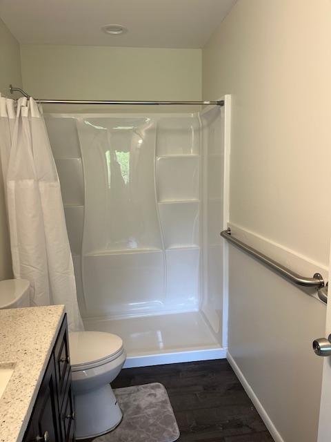 bathroom featuring vanity, wood-type flooring, a shower with shower curtain, and toilet