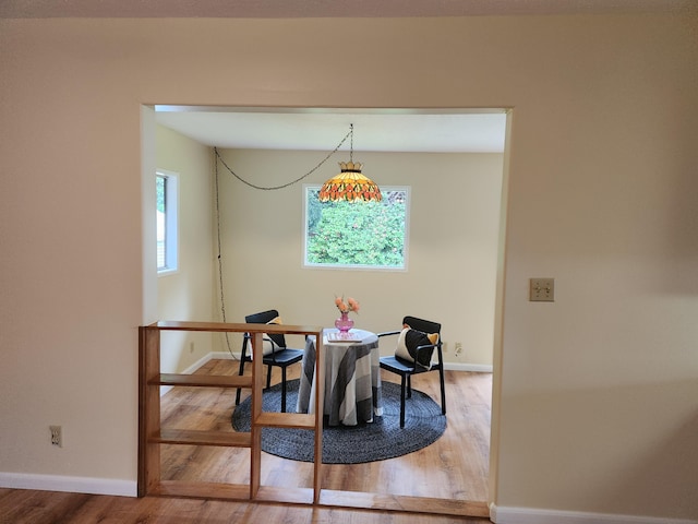 dining room featuring wood-type flooring