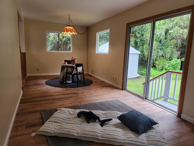 dining space featuring wood-type flooring