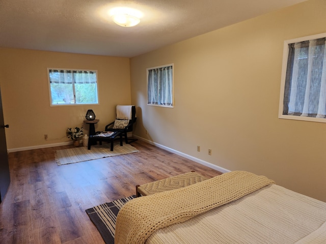 bedroom with wood-type flooring